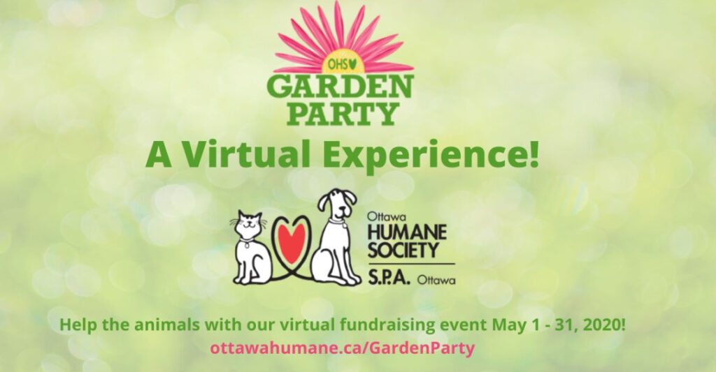 Ottawa Humane Society Virtual Garden Party