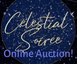 Celestial Soirée Online Auction Ottawa